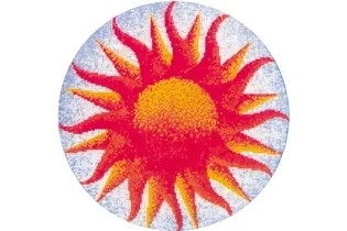 D 22
